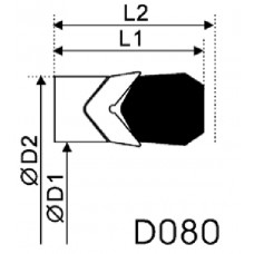 D080