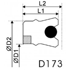 D173